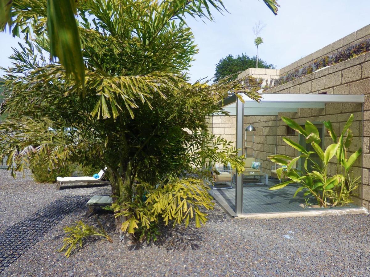 Eco Suites Caves Σαν Κριστόμπαλ ντε Λα Λαγούνα Εξωτερικό φωτογραφία
